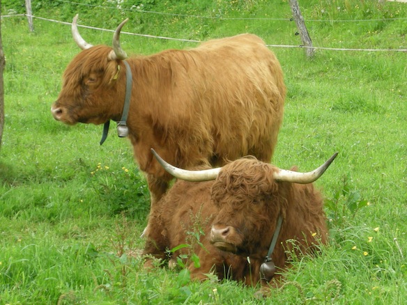 Catechisme | Camp des confirmés, Brassus 2010