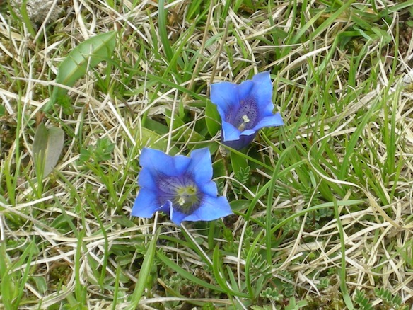 Catechisme | Camp des confirmés, Brassus 2010