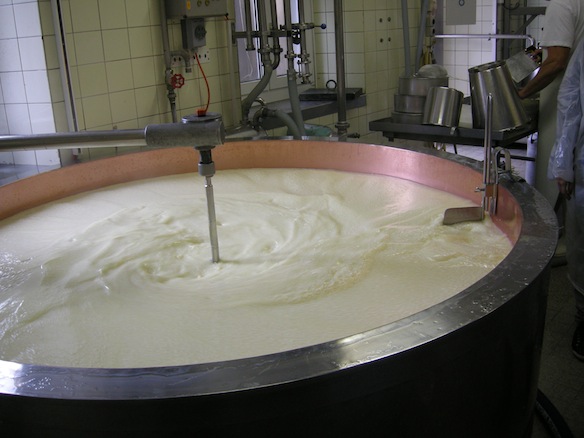 Catechisme | Camp des confirmés, Brassus 2010