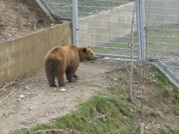 Animation de Jeunesse et Catéchisme | Rumeurs 2010