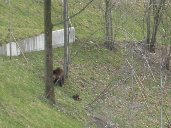 Animation de Jeunesse et Catéchisme | Rumeurs 2010