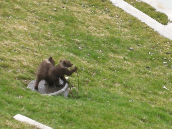 Animation de Jeunesse et Catéchisme | Rumeurs 2010