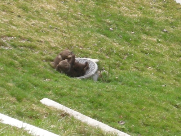Animation de Jeunesse et Catéchisme | Rumeurs 2010