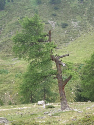 Animation de Jeunesse | Scuol 2010