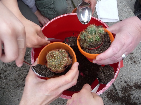 Activités | Semaine d'animation 2010