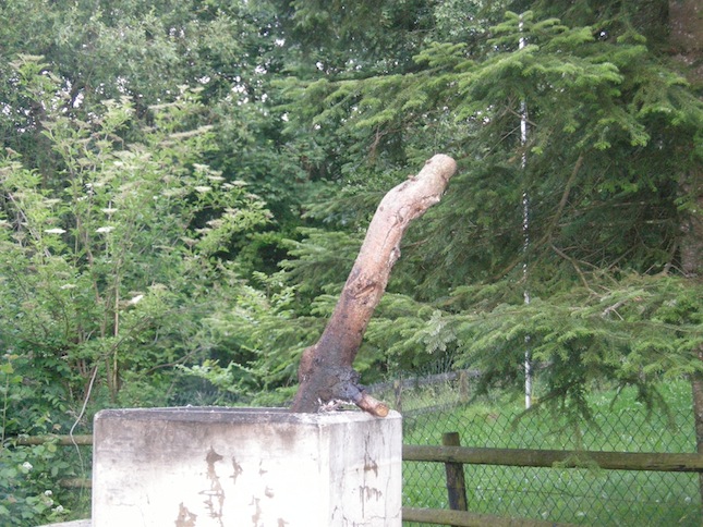 Animation de Jeunesse | Camp Appenzell 2011