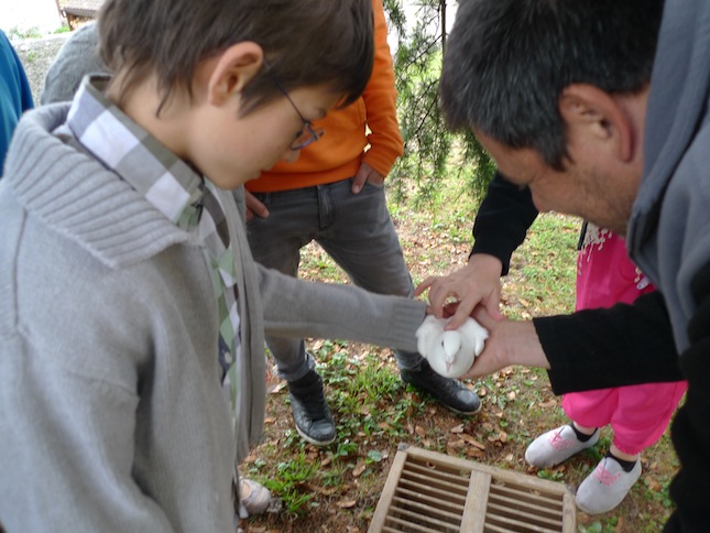 Catéchisme | Confirmations 2012