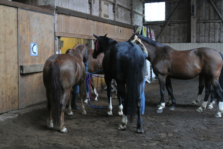 Animation de Jeunesse | Camp d'été 2014