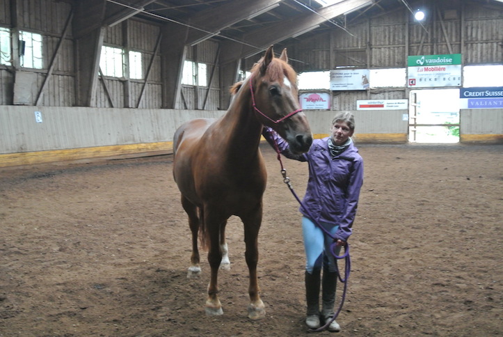 Animation de Jeunesse | Camp d'été 2014