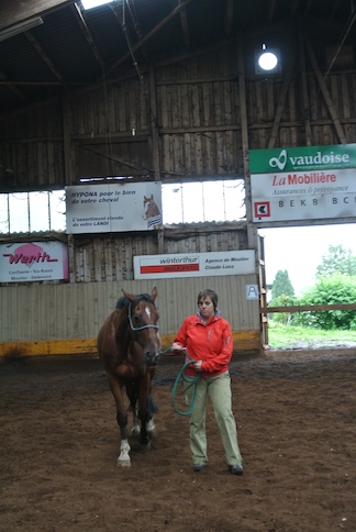 Animation de Jeunesse | Camp d'été 2014