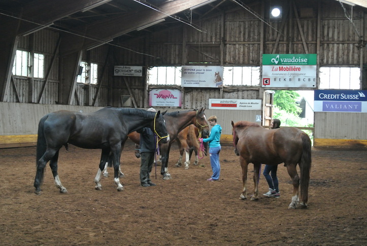 Animation de Jeunesse | Camp d'été 2014