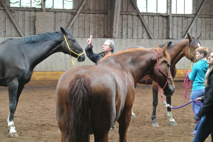 Animation de Jeunesse | Camp d'été 2014