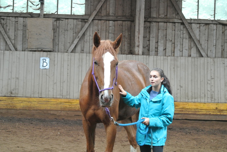 Animation de Jeunesse | Camp d'été 2014
