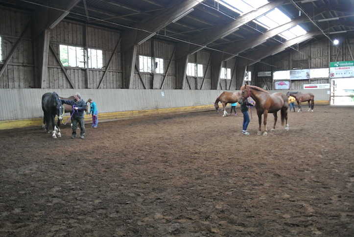 Animation de Jeunesse | Camp d'été 2014