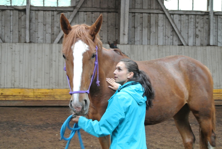 Animation de Jeunesse | Camp d'été 2014