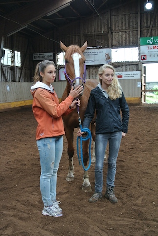 Animation de Jeunesse | Camp d'été 2014