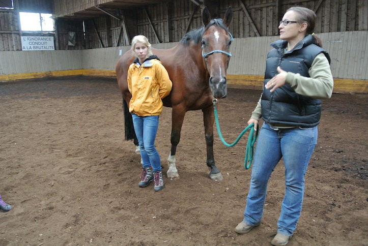 Animation de Jeunesse | Camp d'été 2014