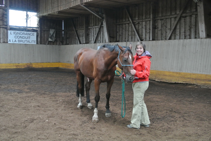 Animation de Jeunesse | Camp d'été 2014