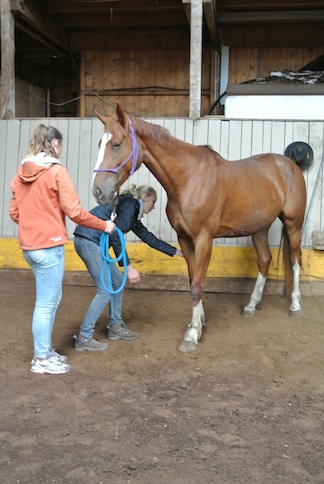 Animation de Jeunesse | Camp d'été 2014