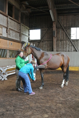 Animation de Jeunesse | Camp d'été 2014