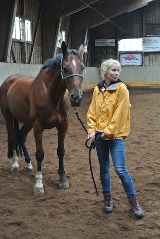 Animation de Jeunesse | Camp d'été 2014