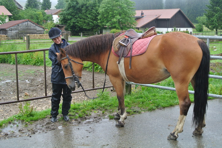 Animation de Jeunesse | Camp d'été 2014