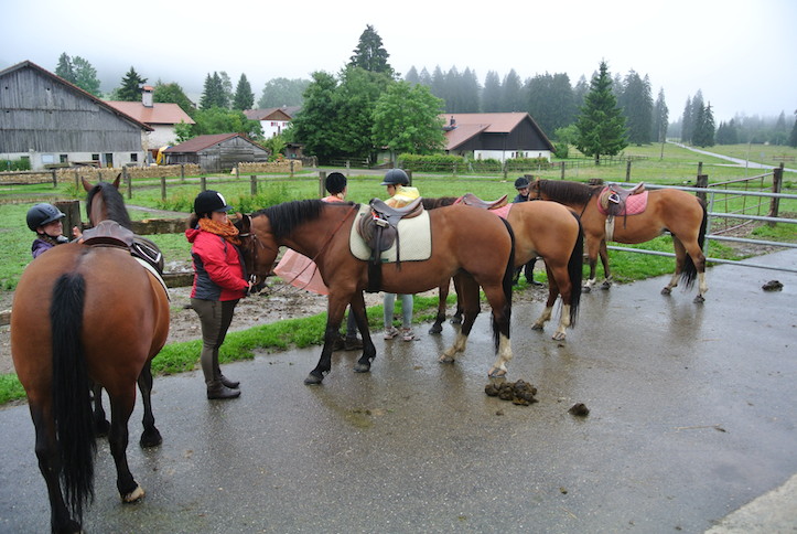 Animation de Jeunesse | Camp d'été 2014