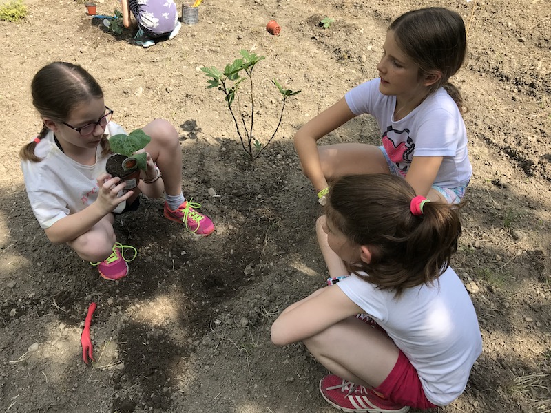 Clôture du cycle 1 dans le jardin