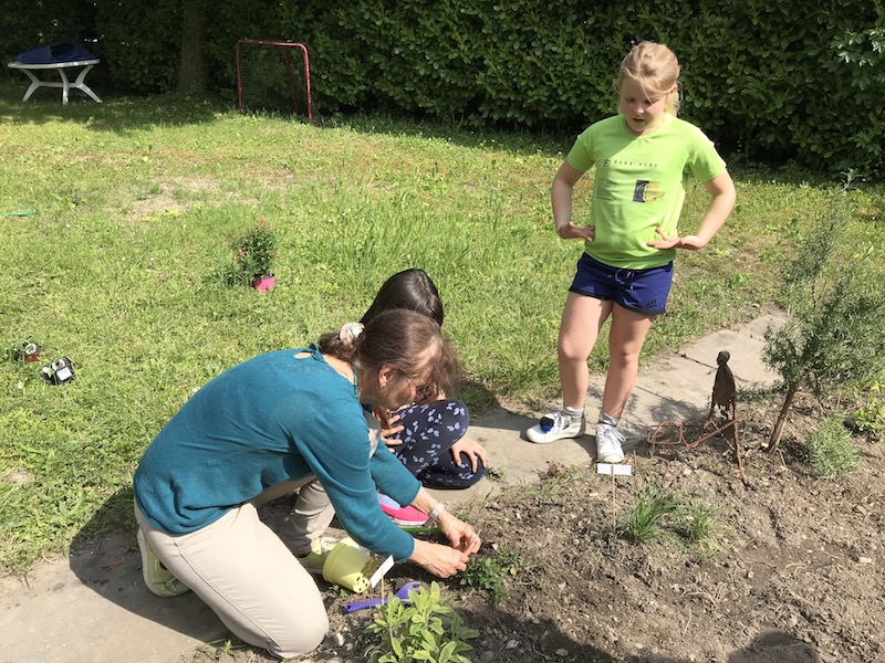 Clôture du cycle 1 dans le jardin