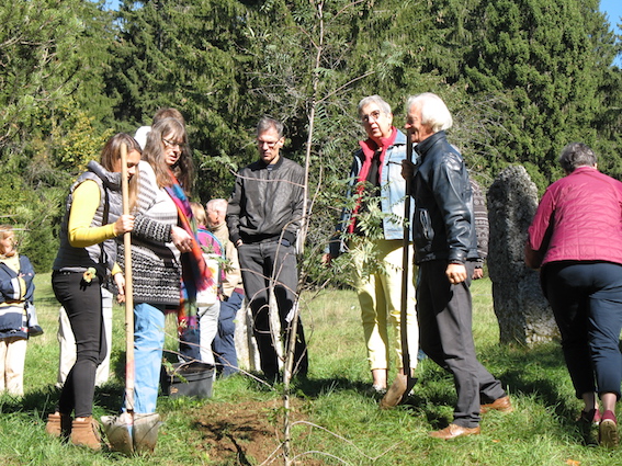 La plantation de l'arbre